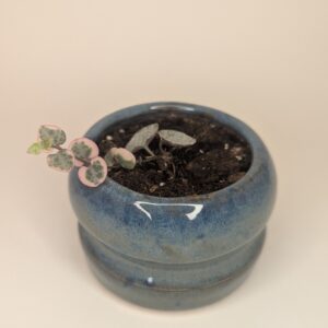 Azure Curve