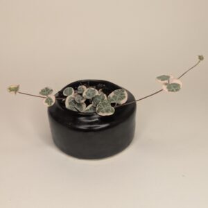 Onyx Cascade