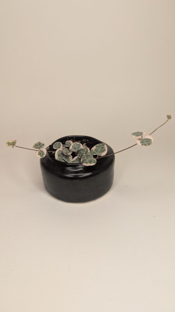 Onyx Cascade