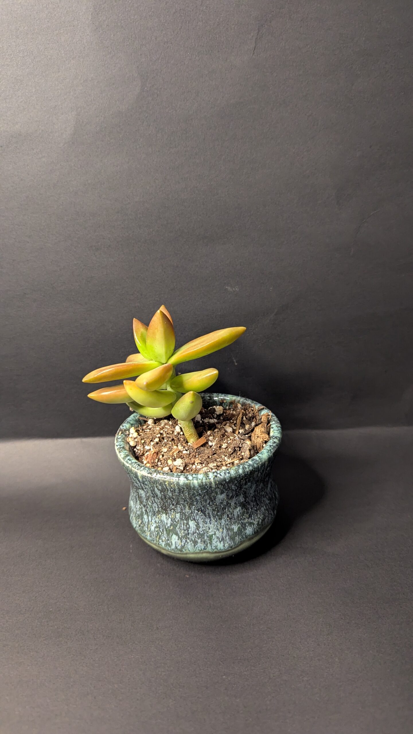 Blue Mirage - Image 3