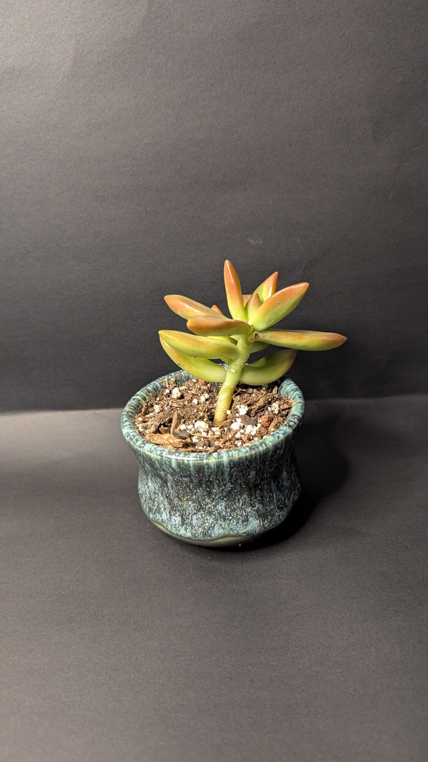 Blue Mirage - Image 2