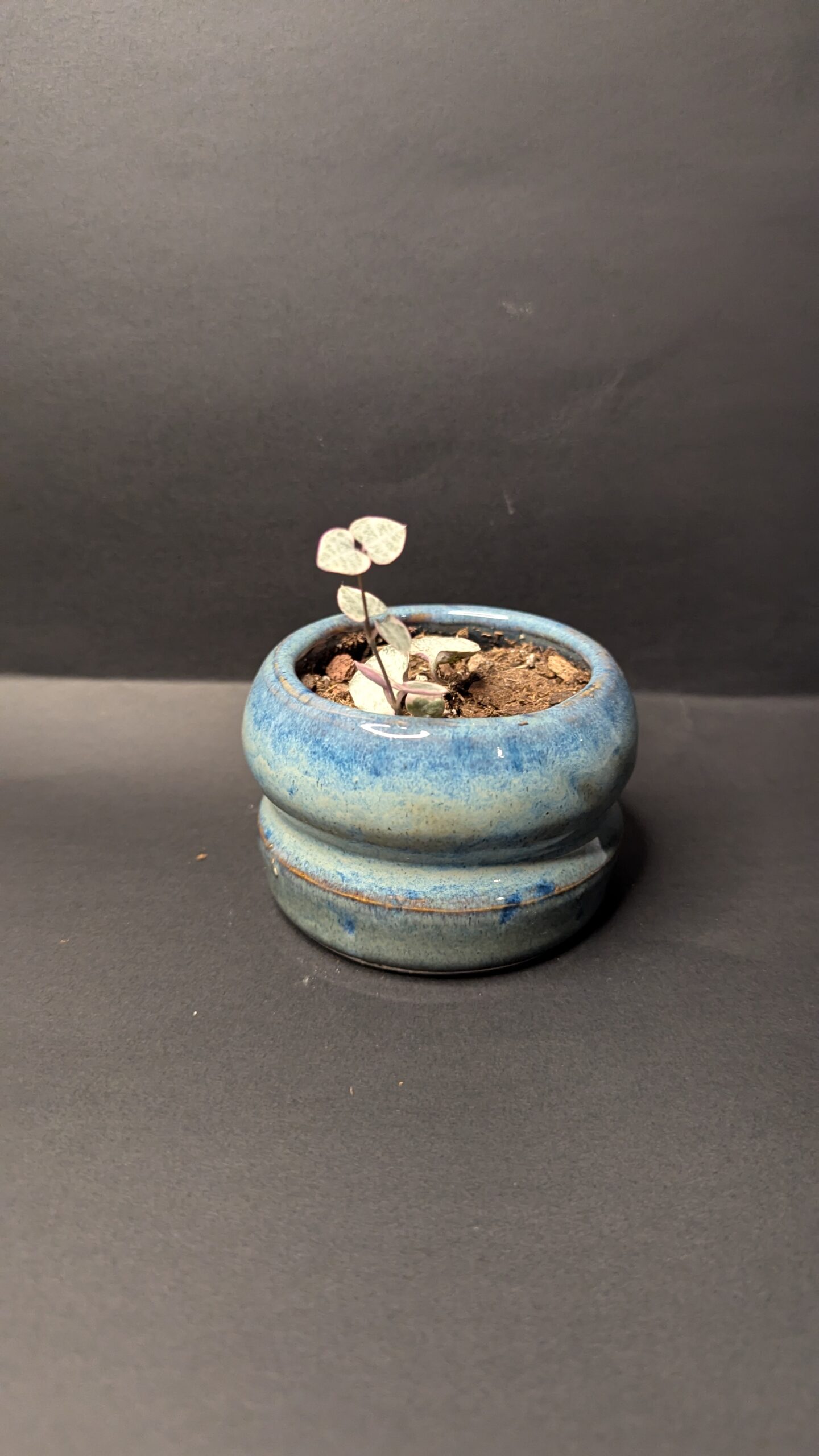 Azure Curve - Image 2