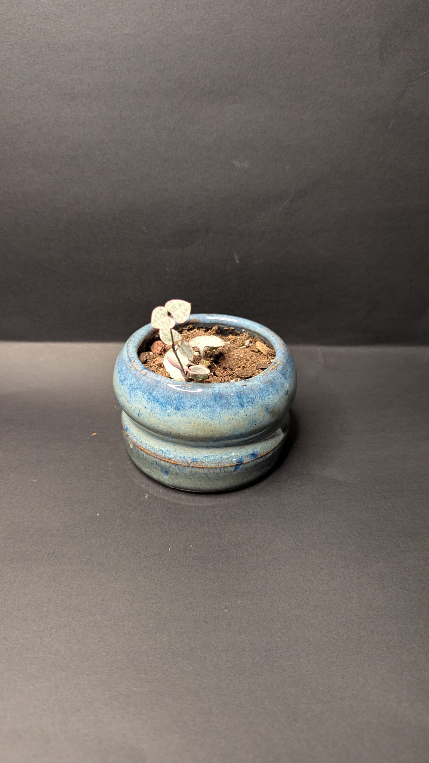 Azure Curve - Image 3