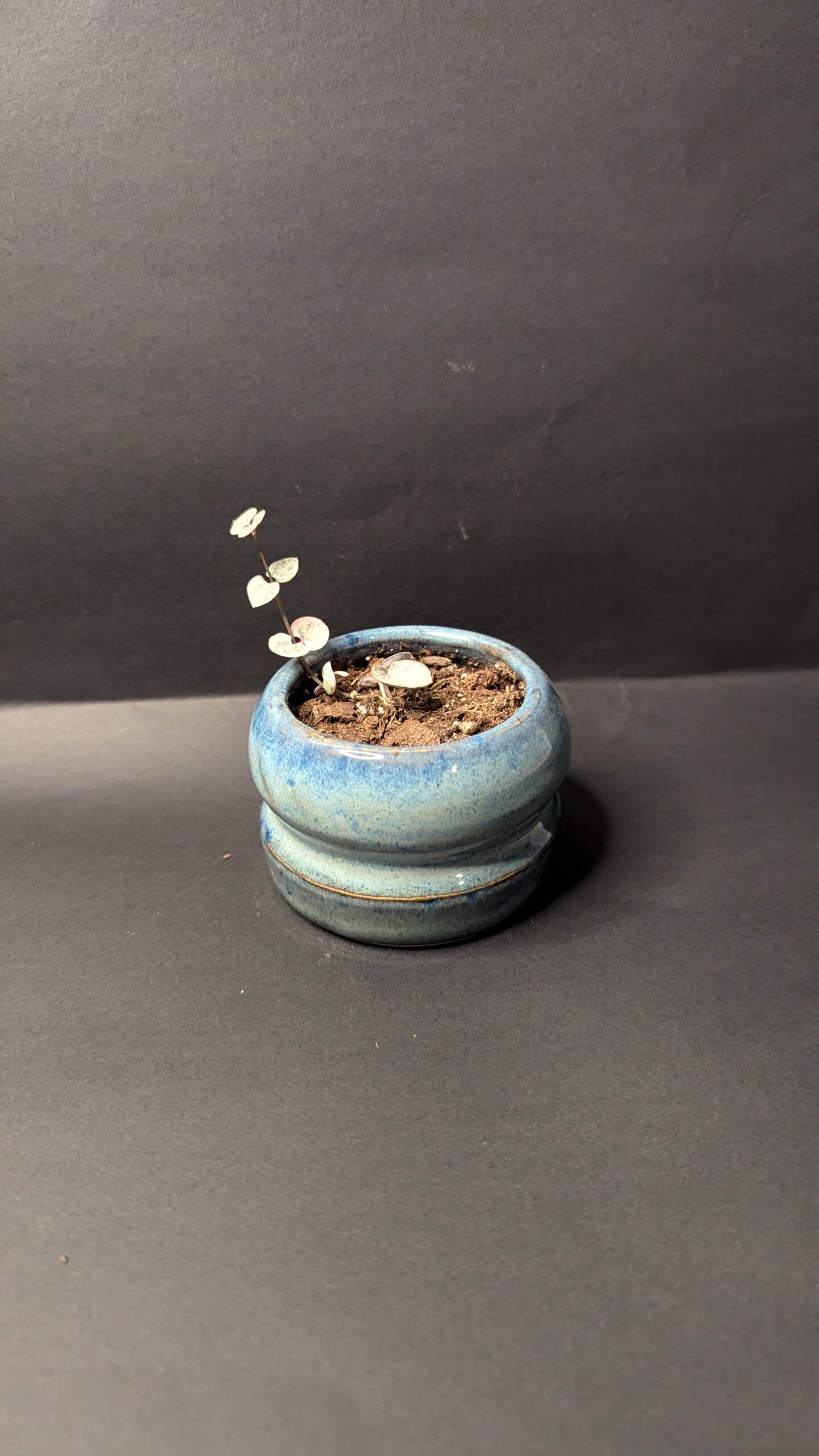 Azure Curve - Image 4