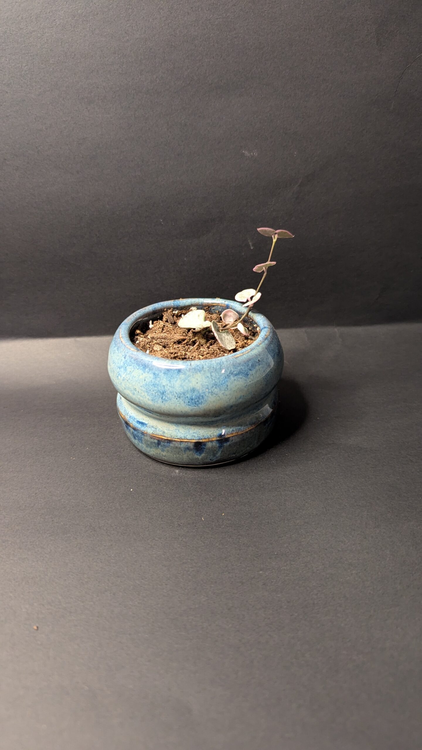 Azure Curve - Image 5