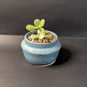 PXL_20250807_005557622.MP Ocean Mist