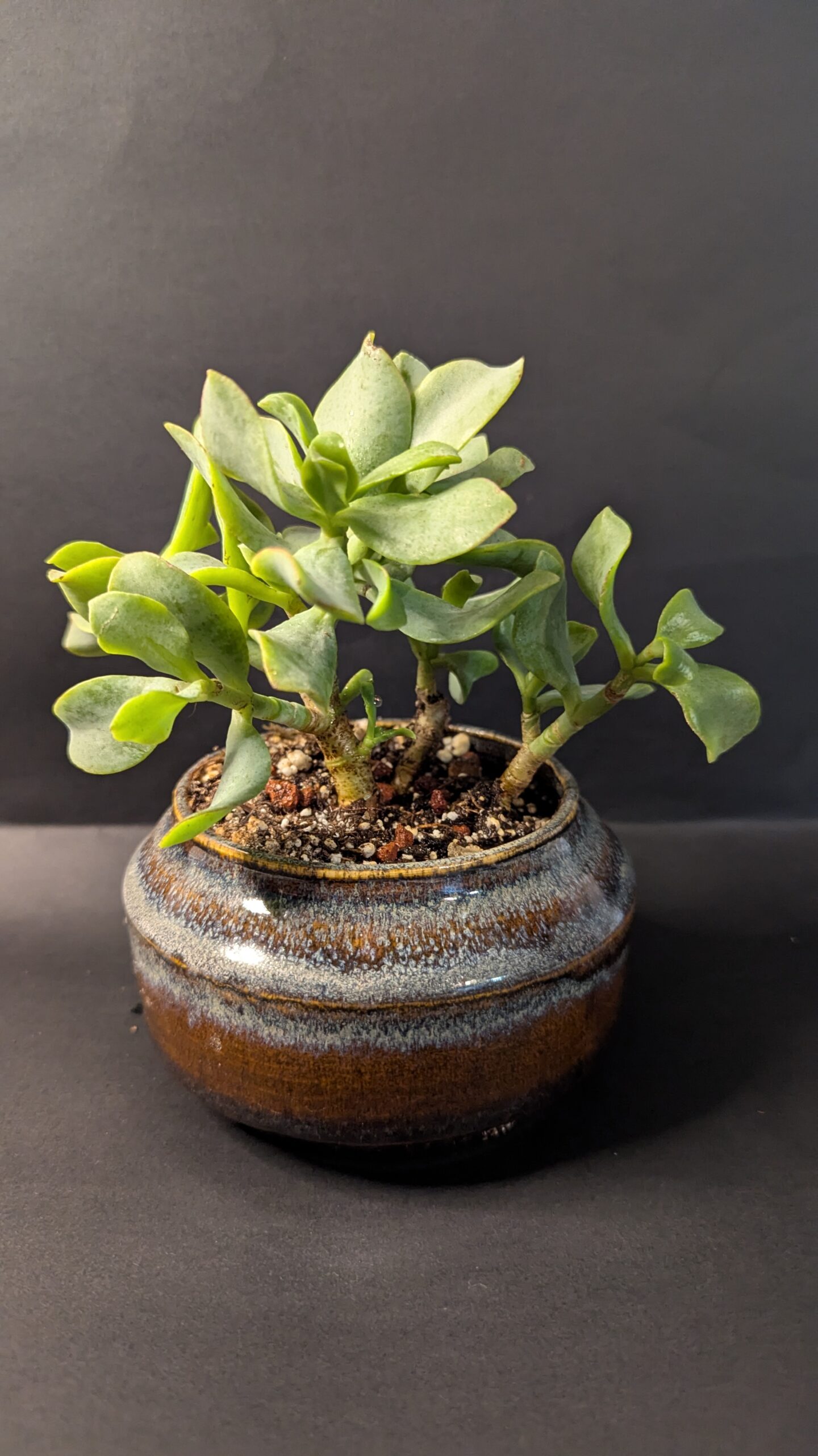 Earth Gleam - Image 2